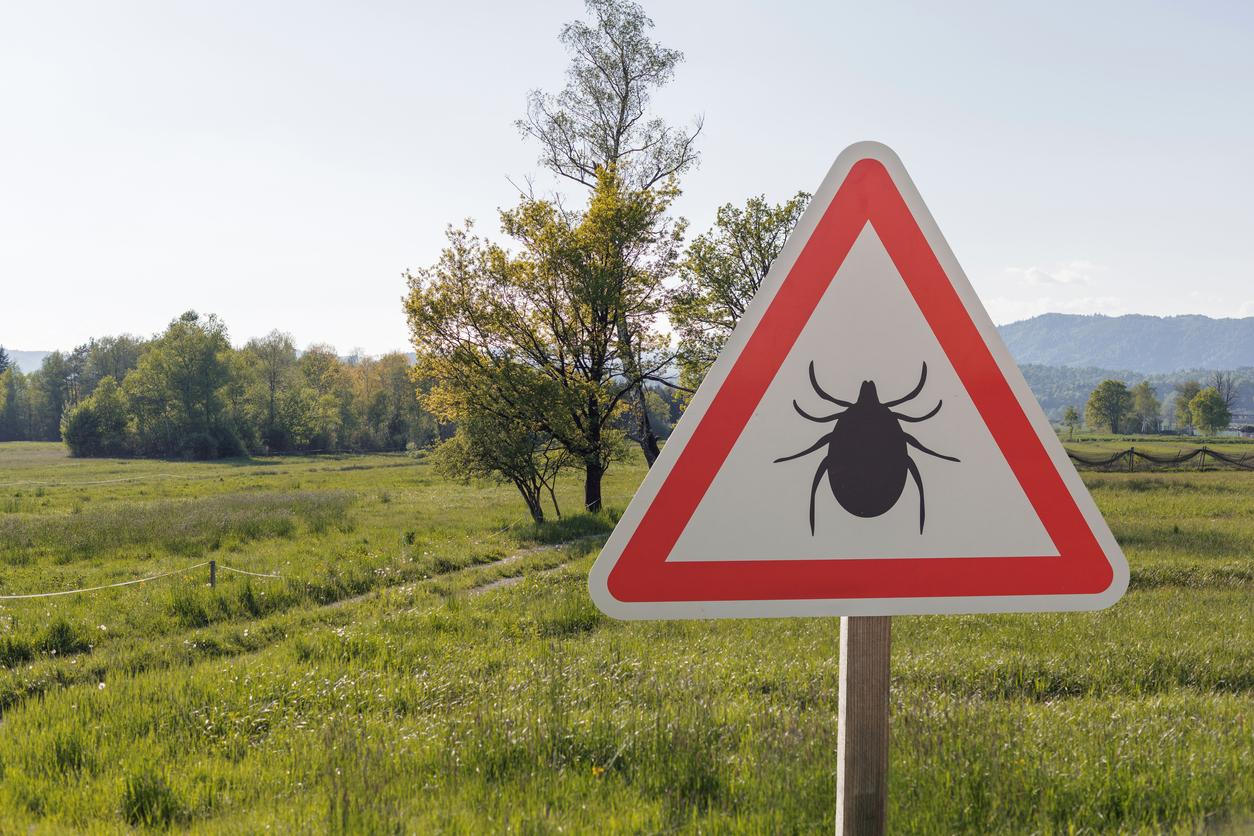 Red triangle tick warning sign posted in a grassy meadow